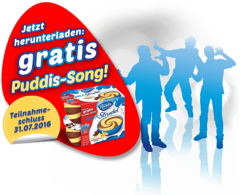 song-stoerer