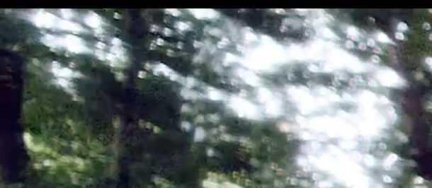 Screen-Shot-2018-08-30-at-12.06.26