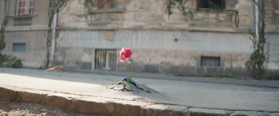 Screenshot-2019-01-07-at-14.50.55