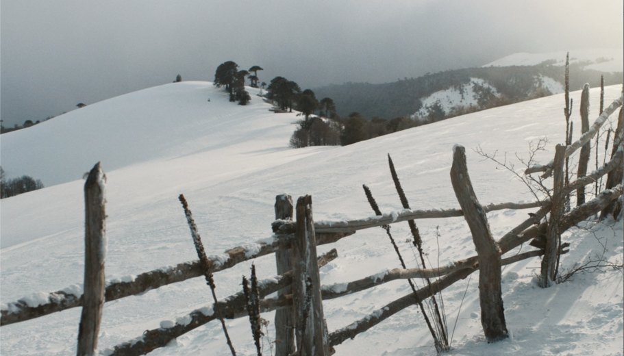 Screenshot-2019-11-11-at-14.50.32.png
