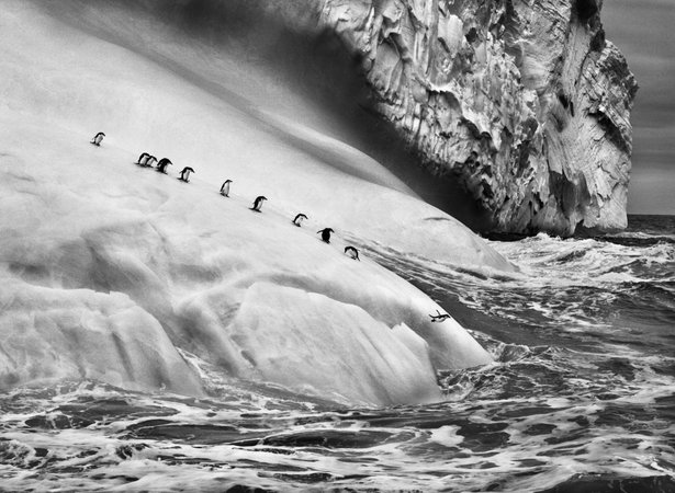 sebastiao-salgado-genesis-900×450-1.jpg